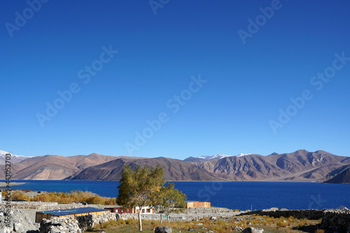 Lakescape  Nature Scene of Pangong tso or Pangong Lake with ้้snow mountain background is best famous destination at Leh Ladakh ,Jammu and Kashmir , India                               © kittinit