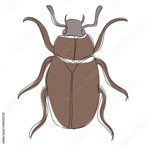 brown beetle one line drawing sketch, isolated