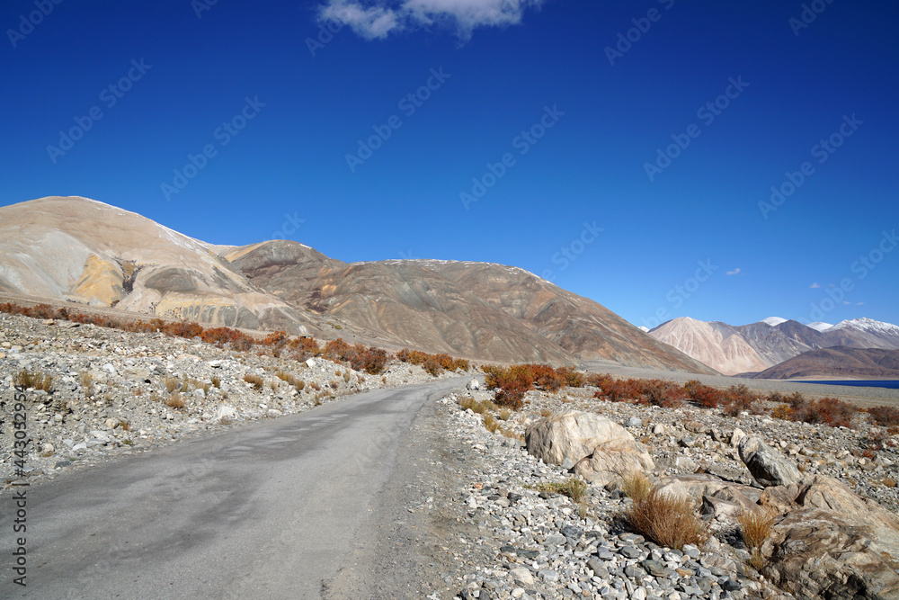Landscape Nature Scene of Road way near Pangong Lake with Snow mountain background at Leh Ladakh ,Jammu and Kashmir , India                                                             
