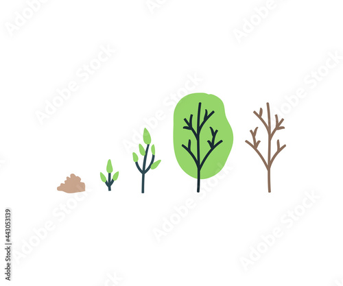 Simple Stages of plant growth. Earth, sprout, maturity and withering