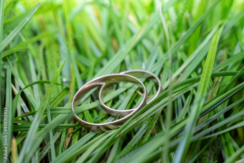 two worn golden rings, laying in tall grass.