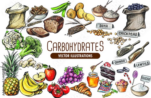 Carbohydrates collection: simple and complex carbs vector illustrations 