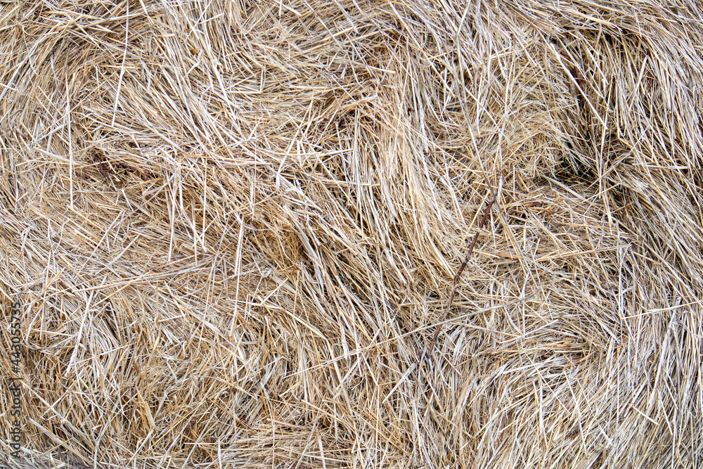 Dry straw texture, large hay stack after harvest season close up, natural background Dry straw texture, large hay stack after harvest season close up, natural background