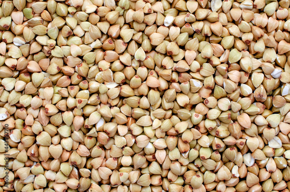 Closed up dry organic buckwheat seed background. For healthy food ingredient or agricultural product concept Closed up dry organic buckwheat seed background. For healthy food ingredient or agricultural product concept