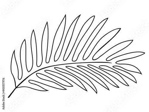 Leaf icon with hand drawn lines. Perfect for home decor such as posters, wall art, tote bag, t-shirt print, sticker, mobile case.