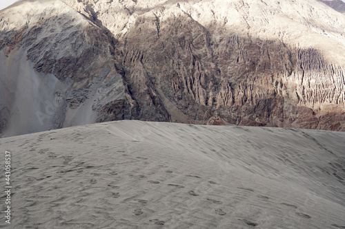 Landscape Nature Scene of Sand dune desert and Gray mountain background at Hunder Sand dune Nubra Valley , Leh Ladakh , India  photo