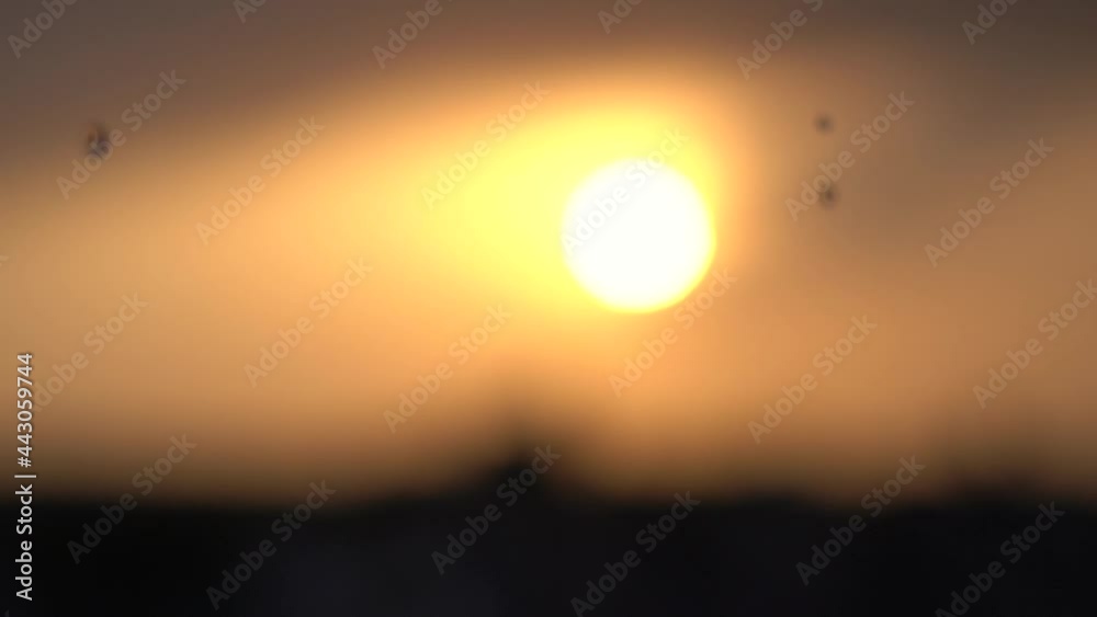 Closeup shot of rain drops falling in front of the sun during the sunset