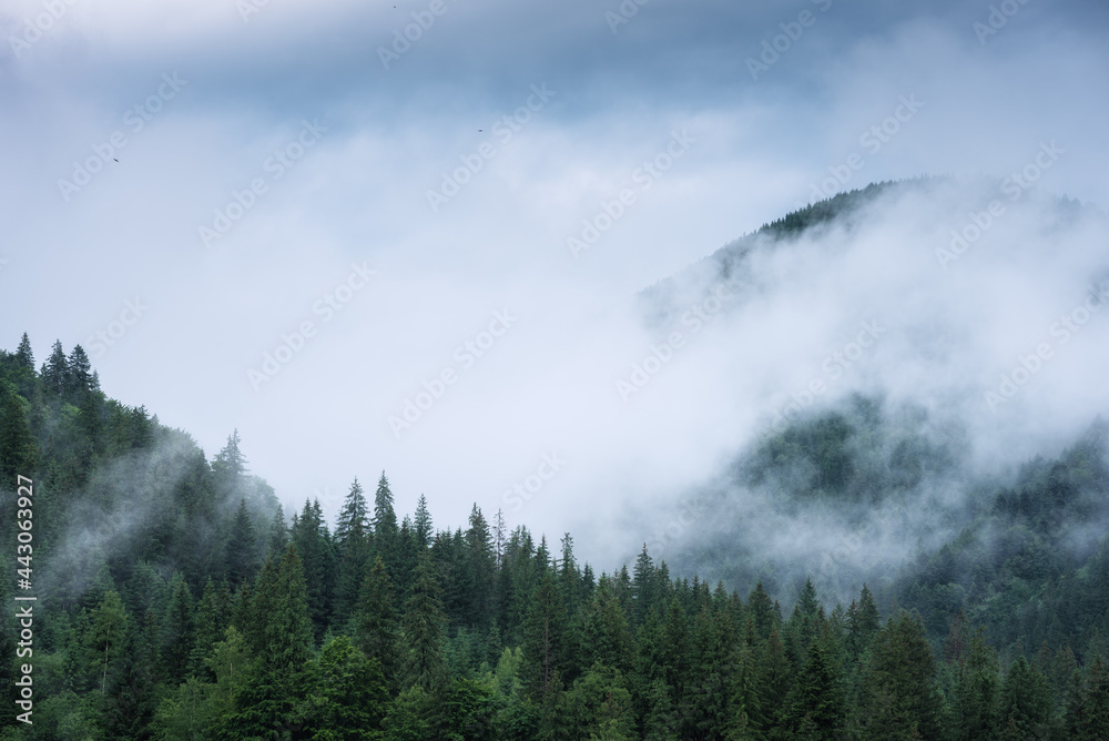 Clouds lays on a mountain Clouds lays on a mountain
