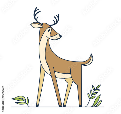 Cute cartoon deer vector illustration isolated on white.