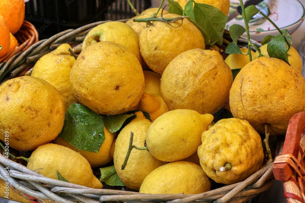The famous giant lemons of Sorrento for sale in the historic center