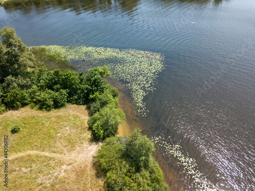 River bank in summer. Aerial drone view.