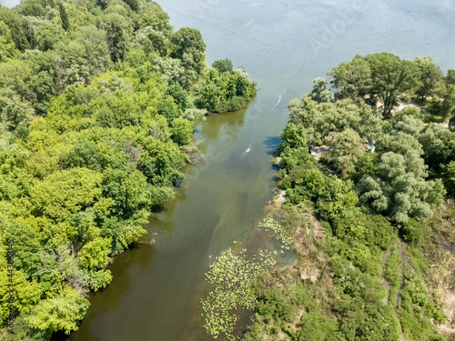 River among green trees in summer. Aerial drone view.