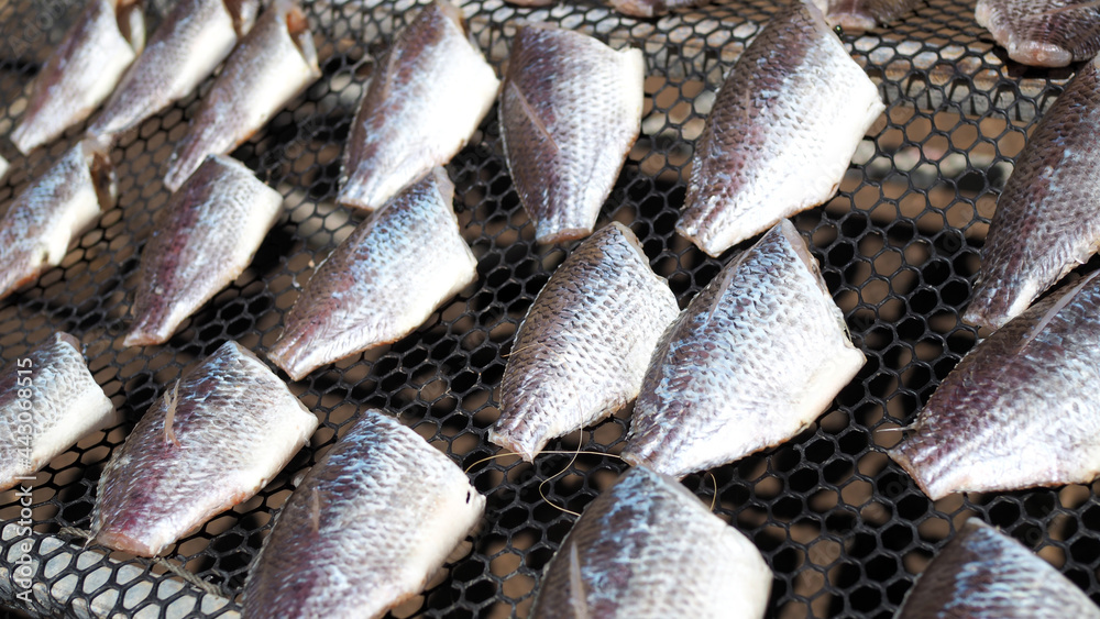 Preservation tilapia fish with sunbathe, dried and cutting head to
