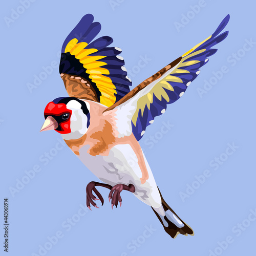 vector art realistic flying goldfinch
