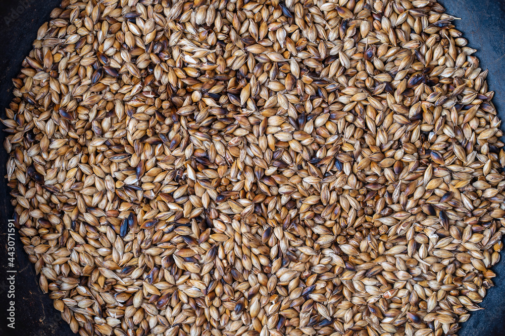 Roasted barley grains in a cast iron skillet on table, top view. Ingredient for beer or kvass