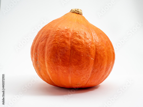 Pumpkin on white background. Fresh and ripe