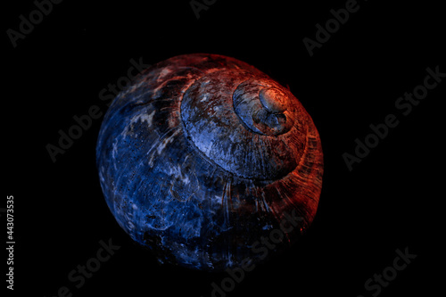 earth in space