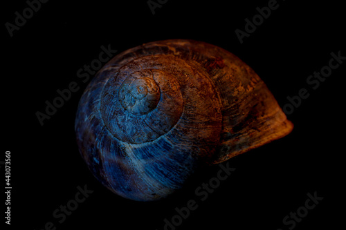 blue glass ball