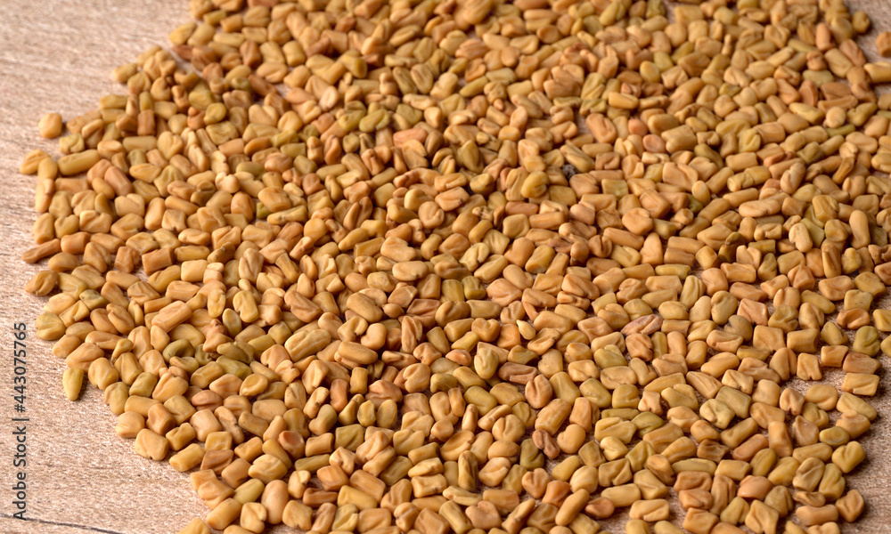 Fototapeta premium Organic fenugreek seeds, ingredient in Indian cuisine.