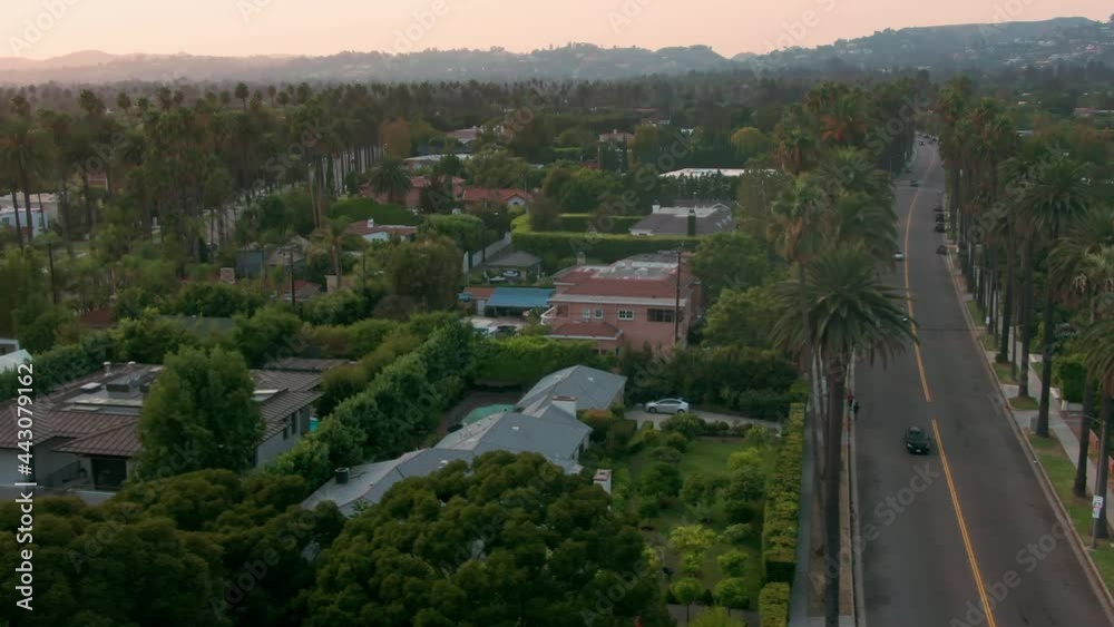 Aerial: Palm trees and mansions in Beverly Hills, Los Angeles. California, USA Aerial: Palm trees and mansions in Beverly Hills, Los Angeles. California, USA