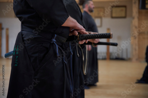 Iaido 2
