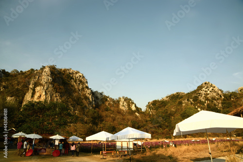 Bergkette und Blumenwiese in der Provinz Saraburi, Thailand