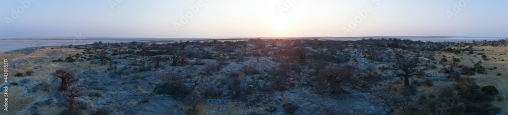 Aerial view of the boabab forest on Kubu Island. Kubu Island is a popular tourist destination in Botswana.