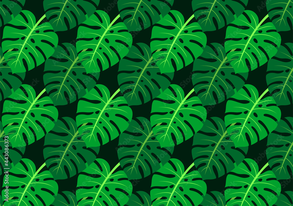 Set of seamless tropical leaves background Premium Vector