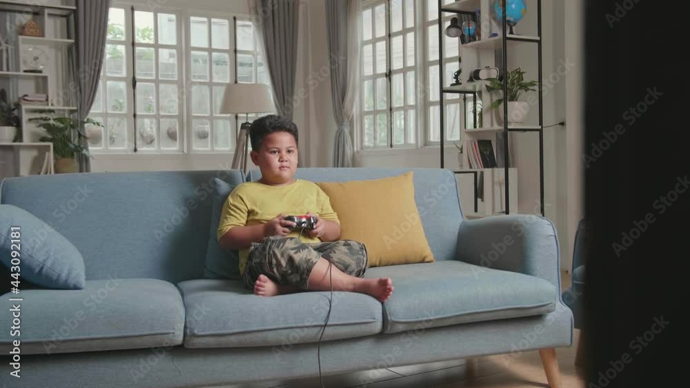 Young Boy Seating On A Couch, While Playing Exited Computer Game
Young Boy Seating On A Couch, While Playing Exited Computer Game