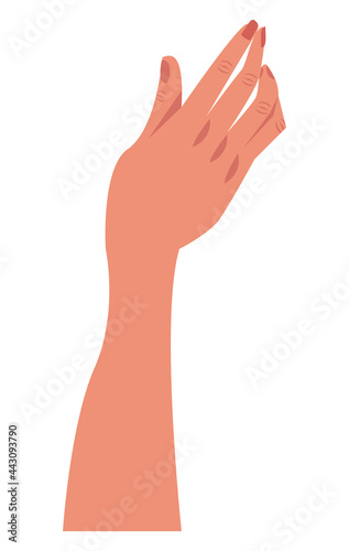 hand human icon