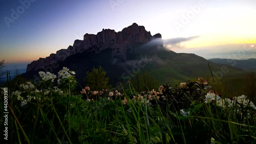 Flower fields, fast flying clouds in mountain landscape. Timelapse video