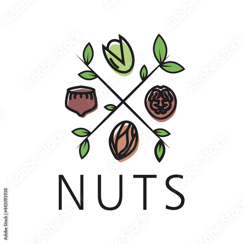 Vector logo of the nuts and dried fruits store