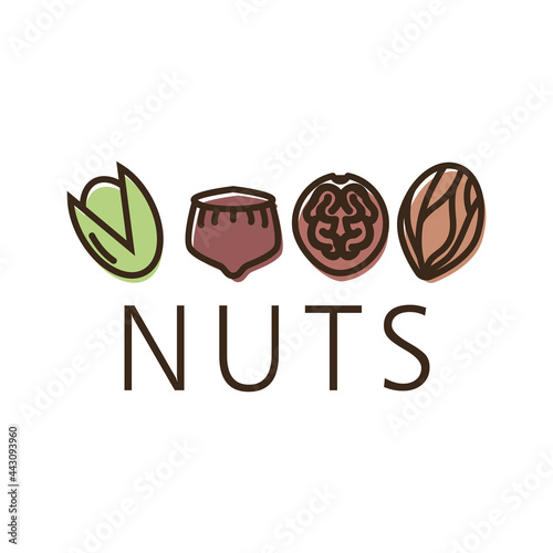 Vector logo of the nuts and dried fruits store