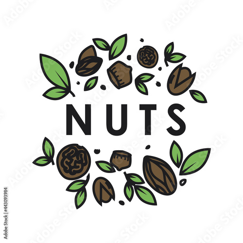 Vector logo of the nuts and dried fruits store