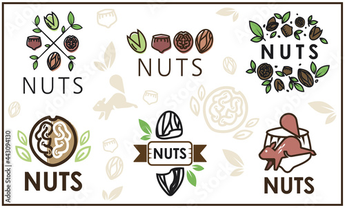 Vector logo of the nuts and dried fruits store