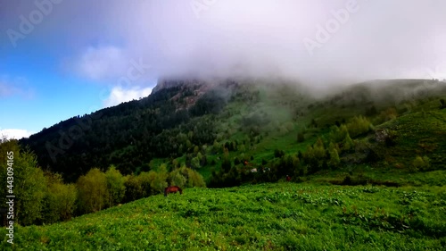 Flower fields, fast flying clouds in mountain landscape. Timelapse video
