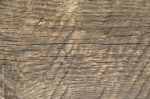 Old board. Abstract background