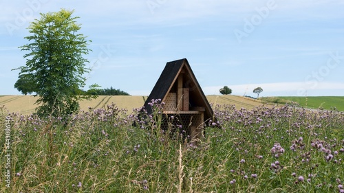 Shelter for insects to support biodiversity 