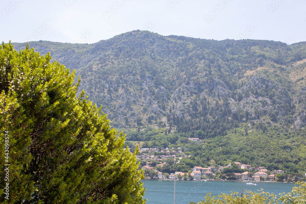 Fototapeta premium Beautiful sea and mountain views under the bright blue sky. View to the Kotor bay Montenegro to Adriatic sea.