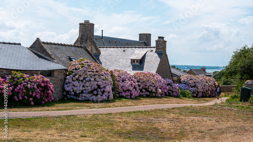 Canvas Print Maison aux hortensia