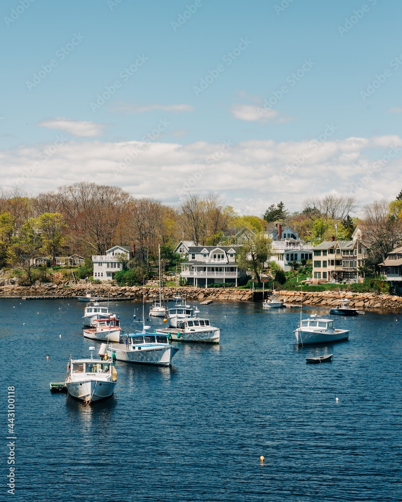 A group of boats in the harbor, Ogunquit, Maine