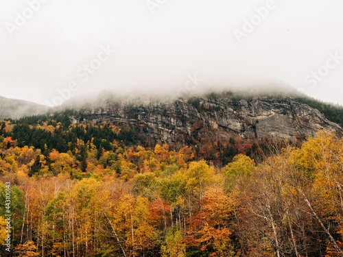 Autumn color and fog in Grafton Notch State Park, Newry, Maine