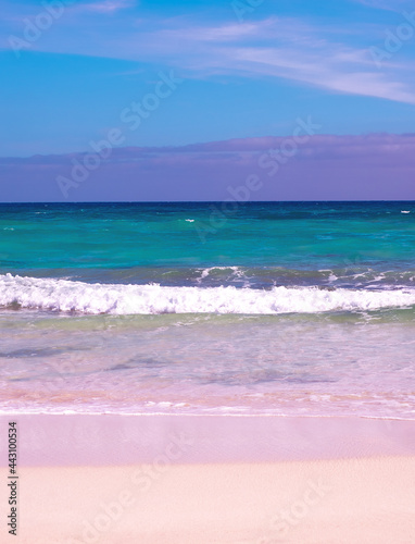 Stylish summer travel wallpaper. Beach. Canary island ocean. Minimalism Aesthetics