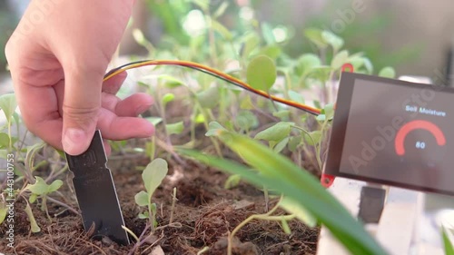 Hand of woman using soil moisture sensor with moisture numeric display screen, Agricultural technology. photo