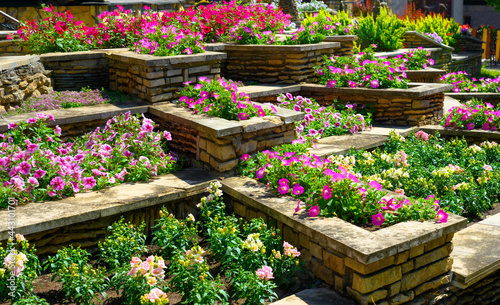 Fotografie, Obraz Landscape design of nice home garden in summer