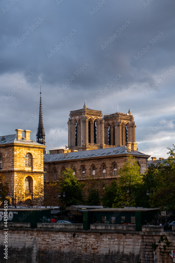 Obraz premium Notre dame