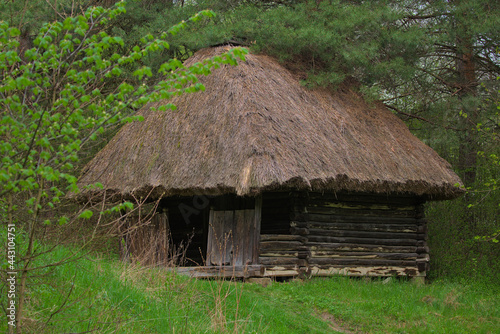 Traditional ukrainian old house with straw roof. National architecture. Warm spring sunny day. © serhii