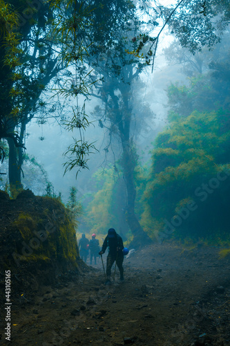 young adult woman hiker wearing sportswear walks with a couple of walkers behind her in the middle of a rocky trail in the cloud forest of Costa Rica