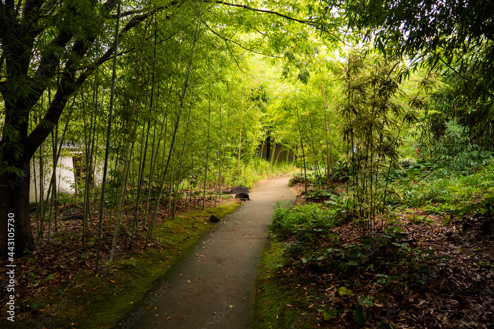 Jardin Japonais Jardin Japonais