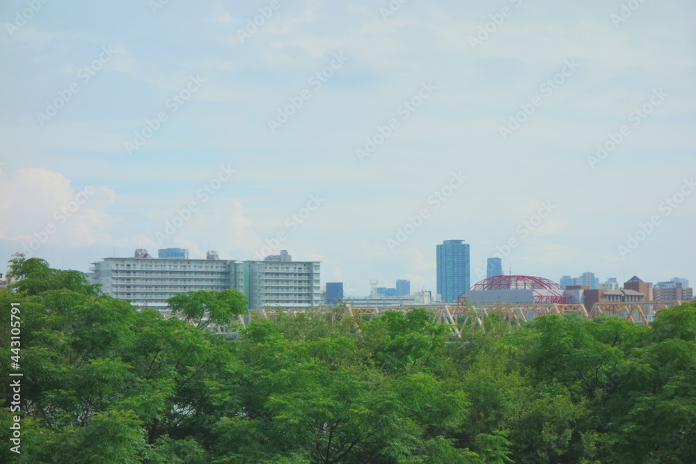 淀川河川敷の緑と大阪の街並み